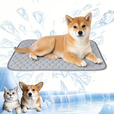Tapis rafraîchissant pour chien, tapis rafraîchissant pour animaux de compagnie, tapis de glace auto-rafraîchissant pour chats, chiots, maison et voyage, 70 x 55 cm, grand, gris (1/5)