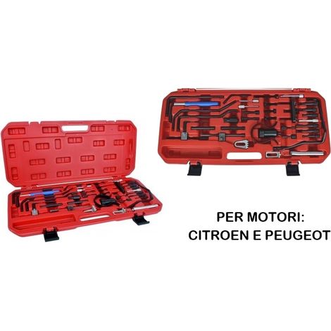 Kit messa in fase motore/albero a camme per  Peugeot/Citroen set 36pz