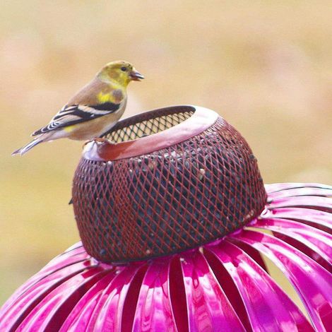 Mangeoire à oiseaux en fer pour jardin, modèle fleur de conifère, sur poteau, décor métallique extérieur, fixation au sol, lot de 1, résistant aux intempéries. (1/3)