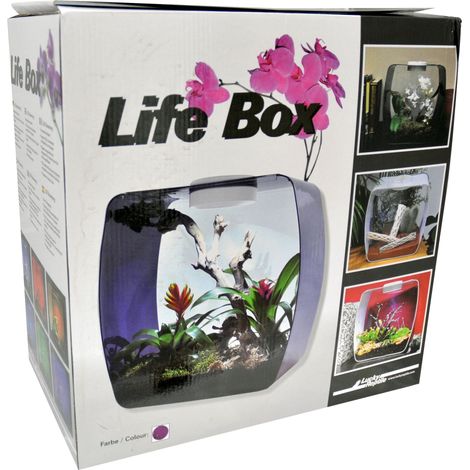 Lucky Rettile Life Box terrario Design (1/3)