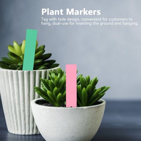 100 étiquettes en PVC pour plantes, marqueurs de pots de fleurs de jardin, rose et vert (1/5)