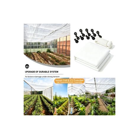 Voile d'hivernage 40 g/m², protection contre le gel pour potager et légumes, Composition : 3 × 4 m, avec 10 clips et 4 m de corde blanche, Couleur : blanc (1/5)