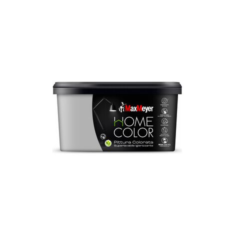 HOME COLOR SUPERLAVABILE  2,5L ARGENTO