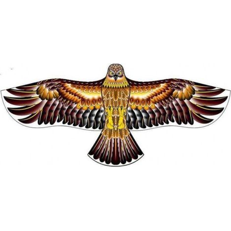 Effaroucheur d'oiseaux cerf volant faucon (1/3)