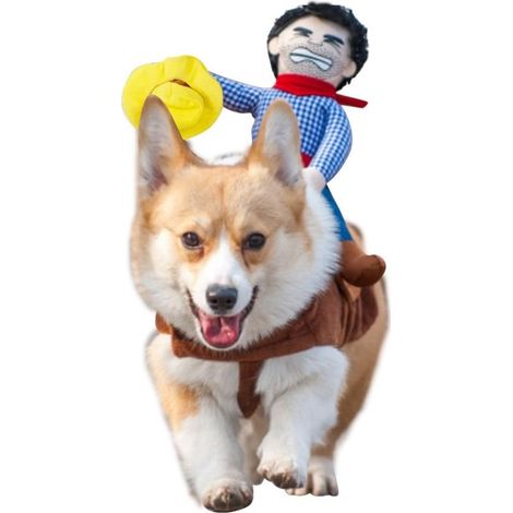 Costume Cowboy Pour Chien - Selle En Tissu Avec Chapeau - Taille S - Marron (1/3)