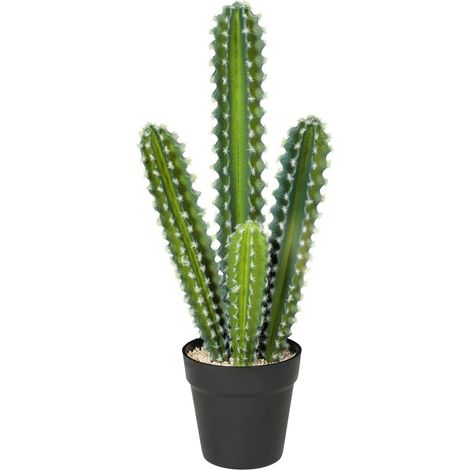 Piante artificiali cactus in vaso 53 cm MODENUIT (1/5)