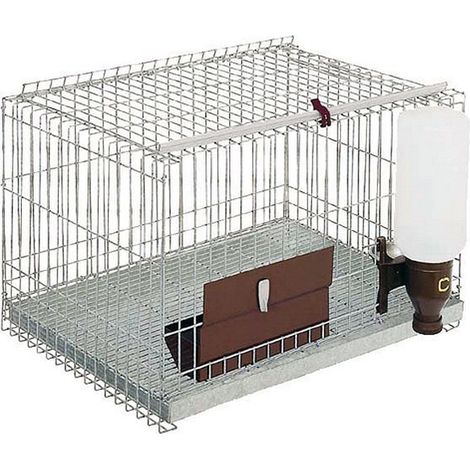 Gabbia per Roditori 1 compartimento con mangiatoia, 58x43x38 cm (1/5)