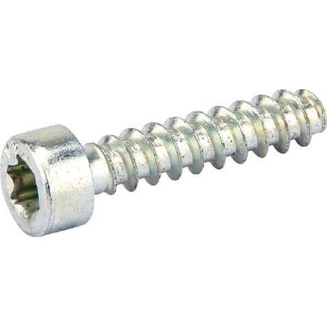 Tornillo ALPINA ALP2123030