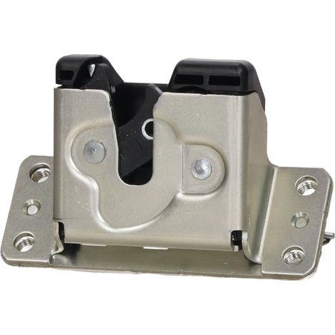Cerradura rápida para maletero FT13635 (1/4)
