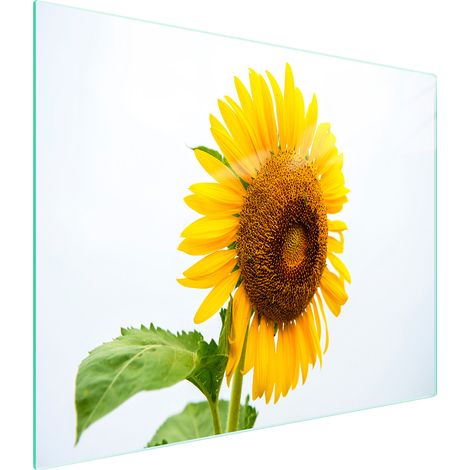Glasschneidebrett 52x30 Blume