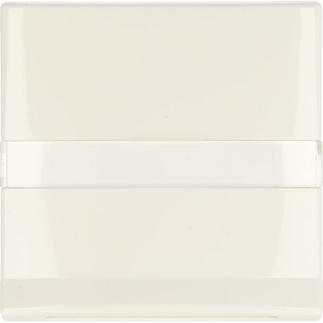 Plaque de finition Busch-jaeger 2118 gkn-34 ip44 blanche