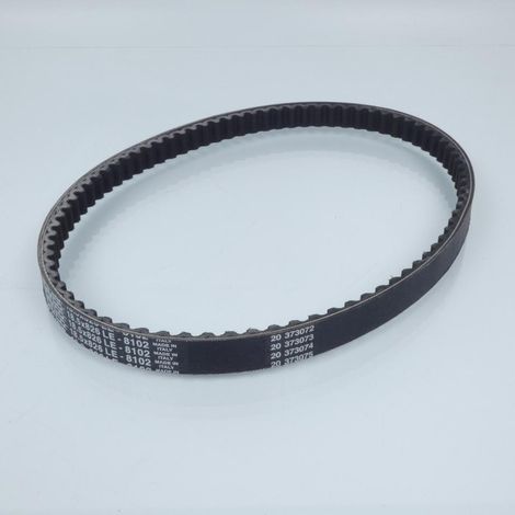 dayco keilriemen für roller aprilia 50 scarabeo 4t 2002 bis 2006