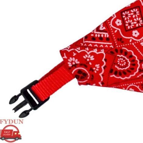 Hundehalsband, verstellbares Hundehalsband, Hundehalsband aus dem Tierfachhandel, Länge 2,0 cm / 0,8 Zoll (1/4)