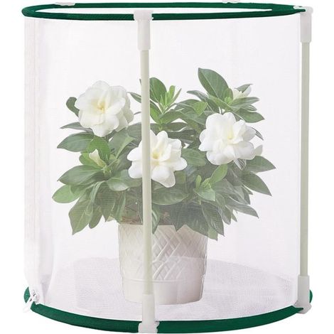 Pflanzenschutznetz Oxford Gewebe 30 x 29 x 29 cm Schutznetz für Gartenpflanzen Schutz für Vögel, Sträucher, Obst, Terrasse, Rasen, Blumen, wissen (1/5)
