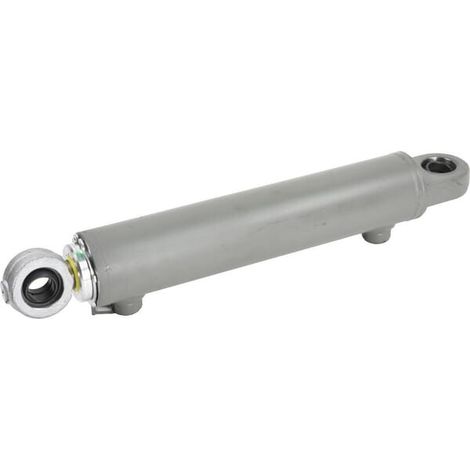 Servo-Lenkzylinder RAICO 5189887N (1/2)