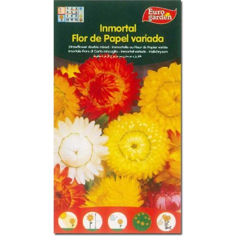 SEMILLAS FITO FLORES INMORTAL FLOR DE PAPEL (SIEMPREVIVA)=00569