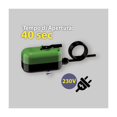 Servomoteur électrique avec déblocage manuel FAR 3005 230V (1/2)