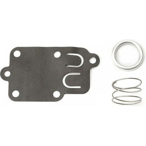 Membrane carburateur Briggs et Stratton (1/4)