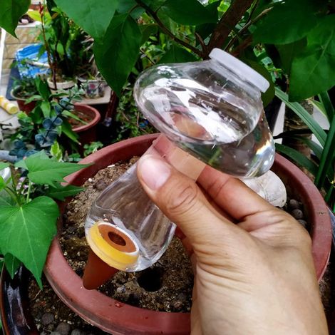 Lot de 2 - Cone Arrosage Bouteille 300 ml - Bille Argile Plante Interieur - Systèmes d'Irrigation Automatique Pour Planter Pot - Distributeur Eau (1/5)