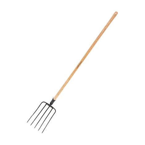 Fourche à 5 dents et long manche h50l213 labrador (1/2)