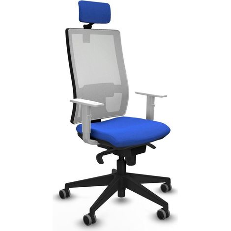 Piqueras y Crespo Chaise Ergonomique Bleu avec Accoudoirs (1/3)