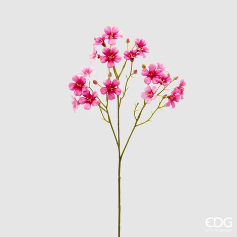 EDG Oxalis Ramo X3 H55 Rosa Scuro