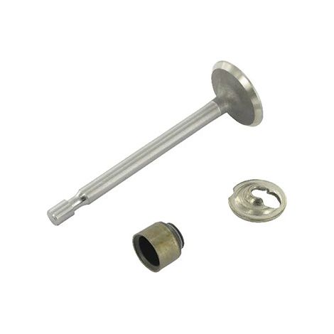 Soupape d'admission Briggs et Stratton 795443 (1/2)