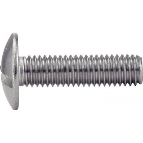 100 Vis à Métaux Tête Ronde Large Poelier Fendue 6 x 60 mm - NFE 25-129 - Inox A2 - D-Work