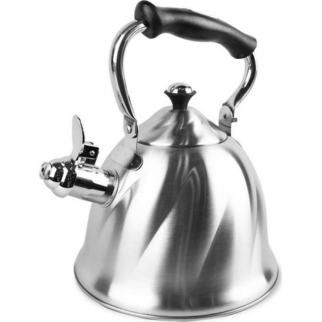 Maestro Bollitore Elegante Argento 3 Litri Acciaio