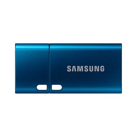Samsung MUF-256DA lecteur USB flash 256 Go USB Type-C 3.2 Gen 1 (3.1 Gen 1) Bleu (1/5)