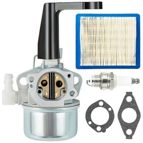 Carburateur 696065 697422 pour moteurs Briggs & Stratton 110402 110412 215369 5 CV 5,5 CV 6 CV 6,5 CV 7 CV (motoculteur)