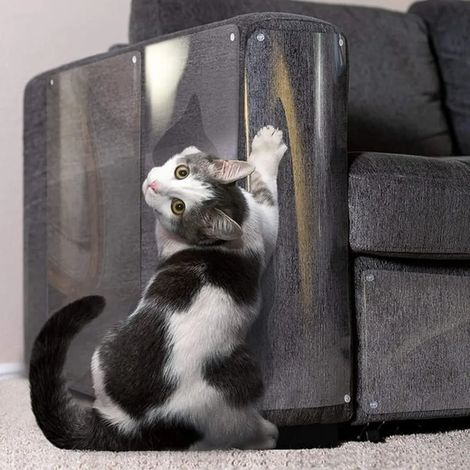 Lot de 8 protège-meubles anti-griffures pour chats (1/5)