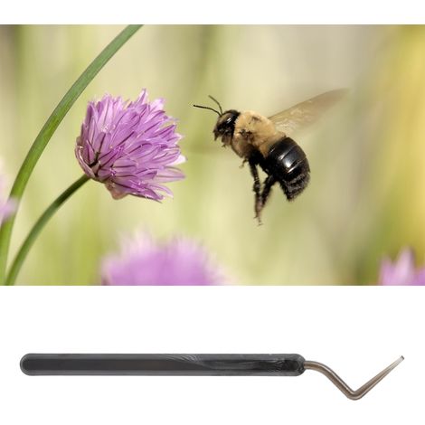 Lot de 3 outils de greffage apicole en plastique pour transfert de larves d'abeilles, équipement d'élevage (1/4)