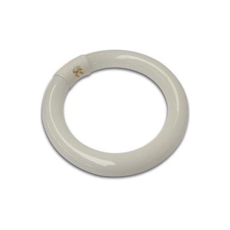 Tubo fluorescente circolare 22w per vtlamp2/& w