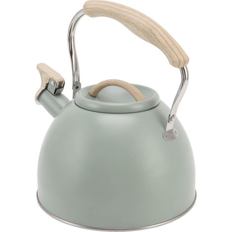 Théière sifflante 3L, vert clair, fond plat, en acier inoxydable, poignée en plastique technique, pour la maison