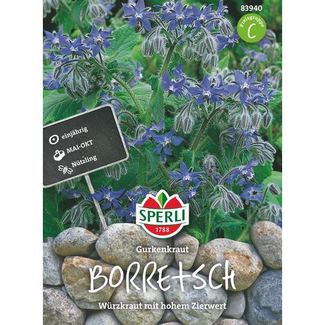 Sperli Borretsch Gurkenkraut - Kräutersamen (1/2)