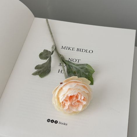 Fleurs artificielles haut de gamme – Bouquet décoratif pour salon, salle à manger et table de restaurant – Roses et pivoines fausses en champagne, arrangement floral réaliste avec tige flexible