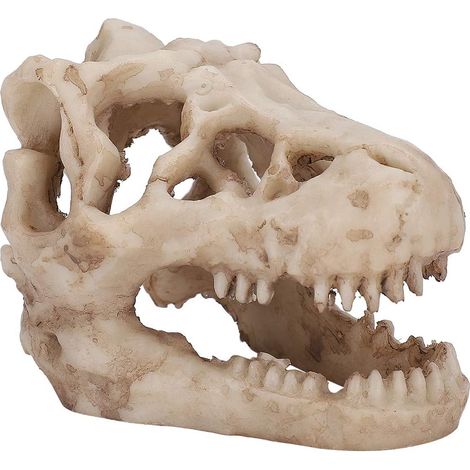 Ornement de crâne de Simulation d'aquarium, décor d'aquarium, Forme de crâne de Dinosaure de Simulation Artificielle pour la décoration de Plantes Aquatiques Paysage (1/5)
