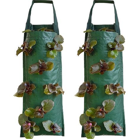 Paquet de 2 sacs de culture de fraises, sacs de culture de plantes à 8 trous, sacs de culture avec poignées (1/5)