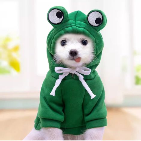 DHOME Niedliche Haustierjacke für Teddy, Bichon Frise, Pudel, Katze L (1/4)