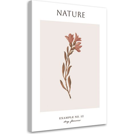 Tableau sur toile Fleur sèche - Nature 40x60 (1/5)
