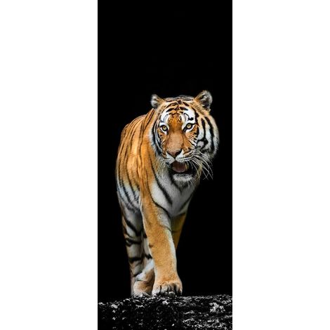Selbstklebende Türfolie – PVC – Selbstklebende Rückseite – Wiederablösbar – Selbstklebende Tapete – Ideal für Schlafzimmer, Wohnzimmer und Flure – 200 x 77 cm (1/5)