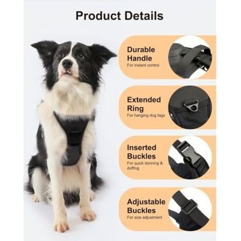 Harnais et laisse pour chien sans traction – Harnais gilet tout-en-un pour chien, laisse rétractable (1/3)