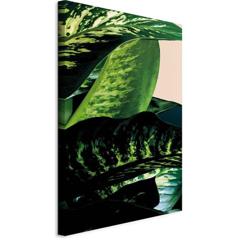 Imagen - Dieffenbachia (1 parte) vertical (1/5)