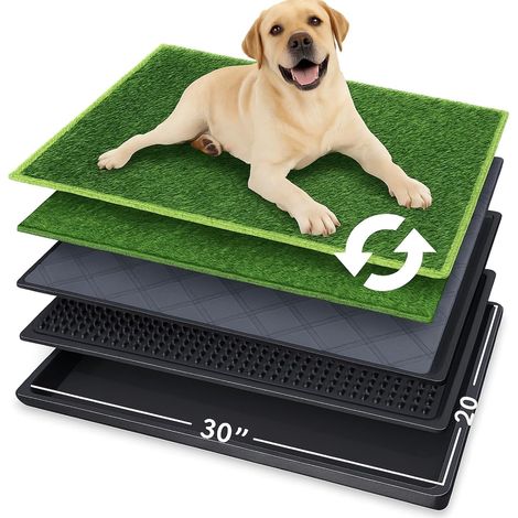 Toilette Chien Intérieur 76×51 cm, Tapis Pipi Chien avec Gazon Artificiel Système 5 Couches avec Bac, 2 Gazon de Rechange, Lavable, Antidérapant, Anti-Odeur, pour Appartement et Balcon (1/5)