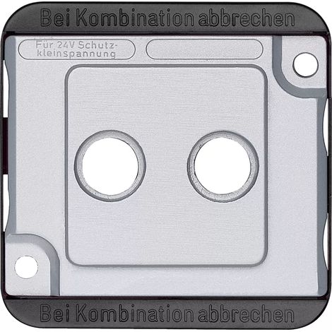Merten Zentralplatte mat/si für Antennendose 294660 (1/2)