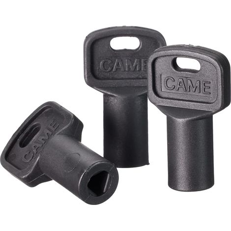 Lot de 3 Clés de Déblocage CAME Triangulaires pour Portail, Clés de Déverrouillage Universelles, Ouverture Manuelle Coupure Courant, Compatible Automatismes CAME BX BK ATI FROG KRONO 119RIY077