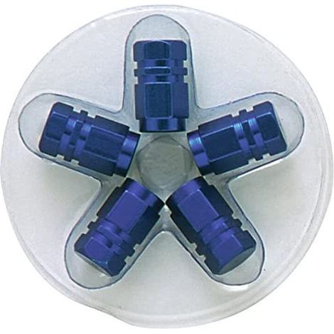 5 bouchons de Valves - Bleu - Hexagonaux (1/3)