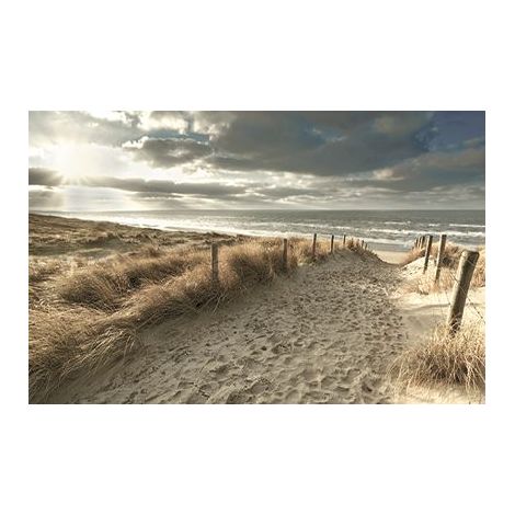 Deco-Canvas Bild - Dünenlandschaft 140 x 90 cm Wandbilder
