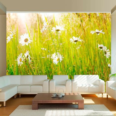 Papier peint champ de marguerites - 250 x 193 cm (1/4)